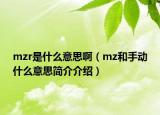 mzr是什么意思啊（mz和手动什么意思简介介绍）