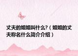 丈夫的姐姐叫什么?（姐姐的丈夫称名什么简介介绍）