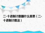 二-十进制计数器什么意思（二-十进制计数法）
