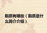 脂质有哪些（脂质是什么简介介绍）