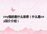 cny指的是什么意思（什么是cny简介介绍）
