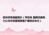 桂林供电局副局长（李桂林 国网河南电力公司市场营销部客户服务处处长）