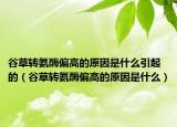 谷草转氨酶偏高的原因是什么引起的（谷草转氨酶偏高的原因是什么）