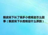 眼皮底下长了很多小疙瘩是怎么回事（眼皮底下长疙瘩是什么原因）