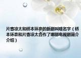 片寄凉太和桥本环奈的新剧叫啥名字（桥本环奈和片寄凉太合作了哪部电视剧简介介绍）