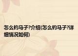 怎么钓马子?介绍(怎么钓马子?详细情况如何)