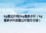 kg是公斤吗1kg是多少斤（kg是多少斤还是公斤简介介绍）