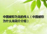 中国被称为龙的传人（中国被称为什么龙简介介绍）