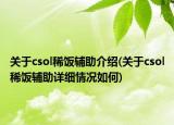 关于csol稀饭辅助介绍(关于csol稀饭辅助详细情况如何)