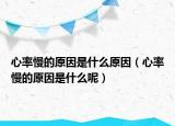 心率慢的原因是什么原因（心率慢的原因是什么呢）