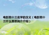 电影狗十三名字的含义（电影狗十三什么意思简介介绍）