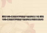 爱拍马桶c在我的世界里是不是很有名介绍(爱拍马桶c在我的世界里是不是很有名详细情况如何)