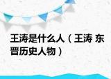 王涛是什么人（王涛 东晋历史人物）