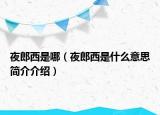 夜郎西是哪（夜郎西是什么意思简介介绍）