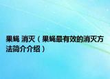 果蝇 消灭（果蝇最有效的消灭方法简介介绍）