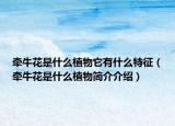牵牛花是什么植物它有什么特征（牵牛花是什么植物简介介绍）