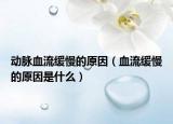 动脉血流缓慢的原因（血流缓慢的原因是什么）