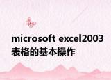 microsoft excel2003表格的基本操作