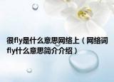 很fly是什么意思网络上（网络词fly什么意思简介介绍）