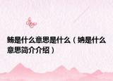 鲔是什么意思是什么（姌是什么意思简介介绍）
