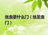 丝虫是什么门（丝足虫门）