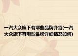 一汽大众旗下有哪些品牌介绍(一汽大众旗下有哪些品牌详细情况如何)