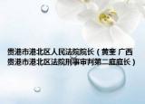 贵港市港北区人民法院院长（黄奎 广西贵港市港北区法院刑事审判第二庭庭长）