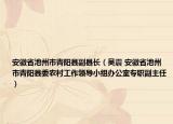 安徽省池州市青阳县副县长（吴震 安徽省池州市青阳县委农村工作领导小组办公室专职副主任）