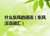 什么东风的词语（东风 汉语词汇）