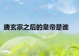 唐玄宗之后的皇帝是谁