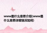 www是什么意思介绍(www是什么意思详细情况如何)