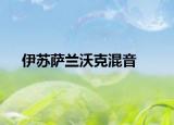 伊苏萨兰沃克混音