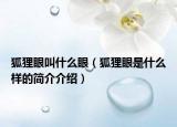 狐狸眼叫什么眼（狐狸眼是什么样的简介介绍）