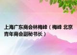 上海广东商会林梅峰（梅峰 北京青年商会副秘书长）