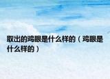 取出的鸡眼是什么样的（鸡眼是什么样的）