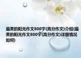 最美的阳光作文800字(高分作文)介绍(最美的阳光作文800字(高分作文)详细情况如何)