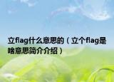 立flag什么意思的（立个flag是啥意思简介介绍）