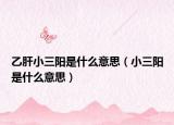 乙肝小三阳是什么意思（小三阳是什么意思）