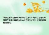 琴瑟在御岁月静好中的(\
