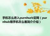 手机怎么进入purnhurb官网（purnhub用手机怎么看简介介绍）