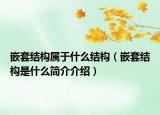 嵌套结构属于什么结构（嵌套结构是什么简介介绍）