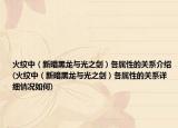 火纹中（新暗黑龙与光之剑）各属性的关系介绍(火纹中（新暗黑龙与光之剑）各属性的关系详细情况如何)