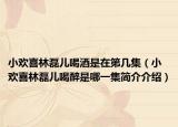 小欢喜林磊儿喝酒是在第几集（小欢喜林磊儿喝醉是哪一集简介介绍）