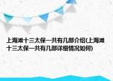 上海滩十三太保一共有几部介绍(上海滩十三太保一共有几部详细情况如何)