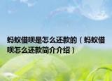 蚂蚁借呗是怎么还款的（蚂蚁借呗怎么还款简介介绍）