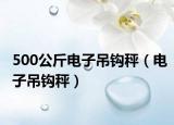 500公斤电子吊钩秤（电子吊钩秤）
