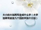 大小的大加两笔变成什么字（大字加两笔能变几个别的字简介介绍）