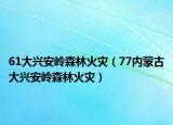 61大兴安岭森林火灾（77内蒙古大兴安岭森林火灾）