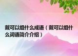戴可以组什么成语（戴可以组什么词语简介介绍）
