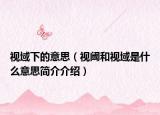 视域下的意思（视阈和视域是什么意思简介介绍）